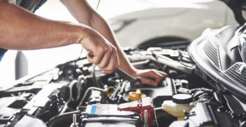 Cadena de distribución